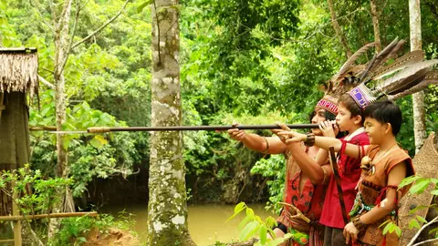 Belum Rainforest Belum Rainforest