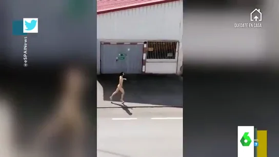 La persecución de la Policía a un joven corriendo desnudo en un pueblo de Asturias en pleno estado de alarma La persecución de la Policía a un joven corriendo desnudo en un pueblo de Asturias en pleno estado de alarma