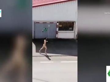La persecución de la Policía a un joven corriendo desnudo en un pueblo de Asturias en pleno estado de alarma La persecución de la Policía a un joven corriendo desnudo en un pueblo de Asturias en pleno estado de alarma