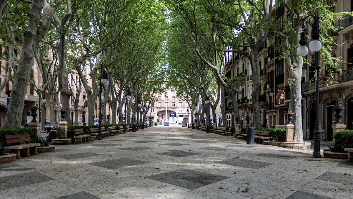 El céntrico Paseo del Borne, en Palma de Mallorca