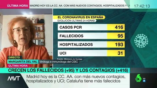 La viróloga Margarita del Val avisa: "Tenemos la mitad de casos activos que cuando estábamos en el pico, hay mucho virus suelto" La viróloga Margarita del Val avisa: "Tenemos la mitad de casos activos que cuando estábamos en el pico, hay mucho virus suelto"