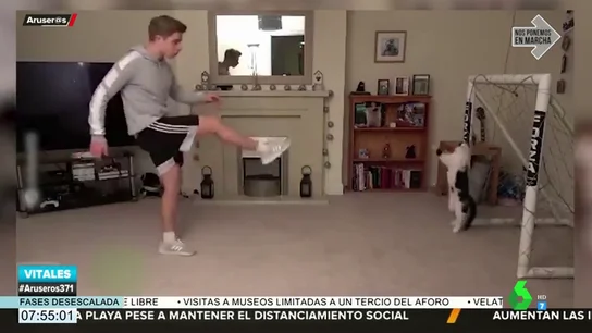 Neuer, el gato por el que se ha 'interesado' el Bayern de Múnich por sus paradones en la portería Neuer, el gato por el que se ha 'interesado' el Bayern de Múnich por sus paradones en la portería