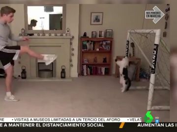 Neuer, el gato por el que se ha 'interesado' el Bayern de Múnich por sus paradones en la portería Neuer, el gato por el que se ha 'interesado' el Bayern de Múnich por sus paradones en la portería