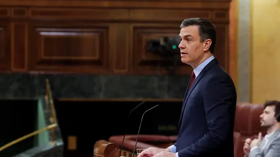El presidente del Gobierno, Pedro Sánchez, durante su intervención en del debate, este miércoles en el Congreso. El presidente del Gobierno, Pedro Sánchez, durante su intervención en del debate, este miércoles en el Congreso.