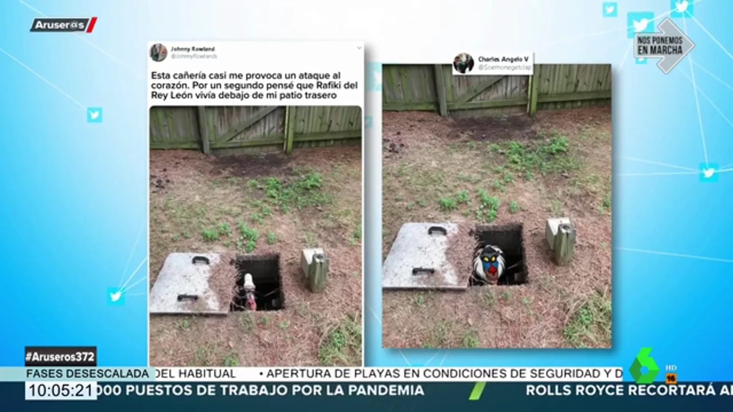 ¿Es una cañería o es Rafiki de 'El Rey León'?: la ilusión óptica que enloquece a Twitter ¿Es una cañería o es Rafiki de 'El Rey León'?: la ilusión óptica que enloquece a Twitter