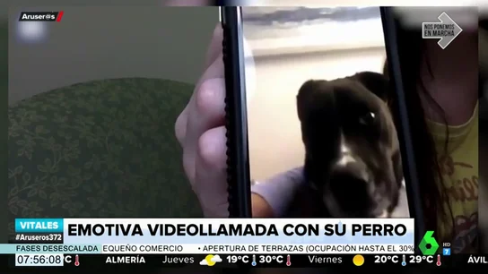 El llanto de un perro al hacer videollamada con su dueña, enfermera que lucha contra el coronavirus El llanto de un perro al hacer videollamada con su dueña, enfermera que lucha contra el coronavirus