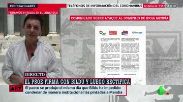 Aizpurua (Bildu), sobre el ataque a la casa de Idoia Mendia: "Rechazamos toda expresión de violencia"