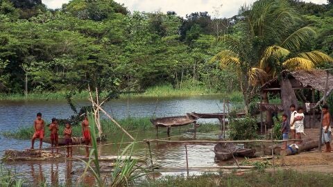 Amazonas
