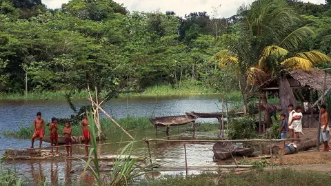 Amazonas Amazonas