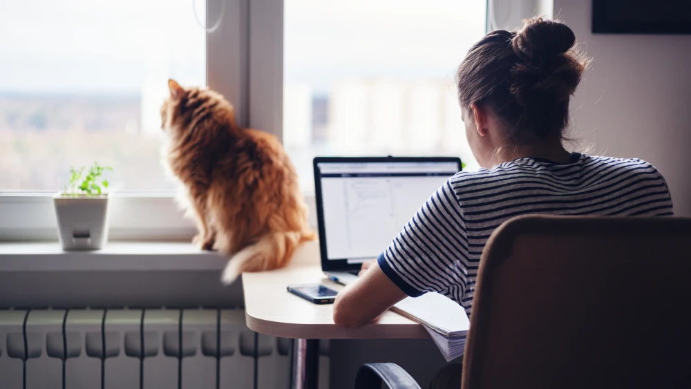 Teletrabajo en la desescalada