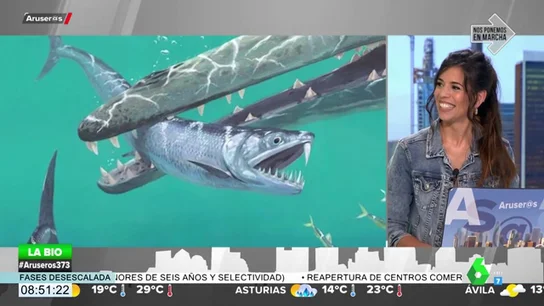 Descubren una anchoa gigante de 30 centímetros y dientes de sable Descubren una anchoa gigante de 30 centímetros y dientes de sable