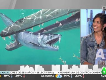 Descubren una anchoa gigante de 30 centímetros y dientes de sable Descubren una anchoa gigante de 30 centímetros y dientes de sable