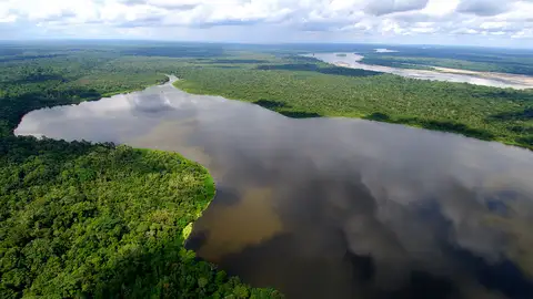 Amazonia Amazonia