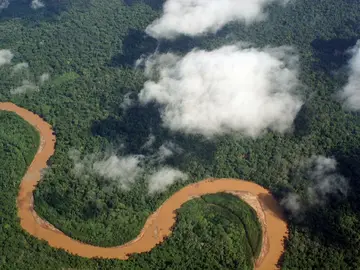 Amazonas Amazonas