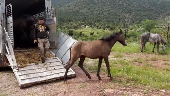 La cara más dura de vivir en el medio rural: "No tienes sábados ni domingos y tienes que renunciar a la cultura" La cara más dura de vivir en el medio rural: "No tienes sábados ni domingos y tienes que renunciar a la cultura"