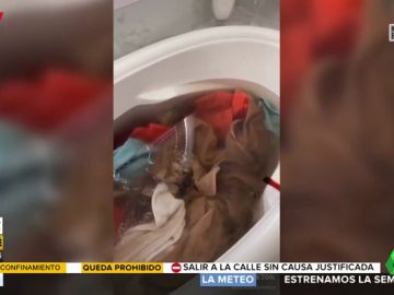 La 'estafa' de las lavadoras: una enfermera muestra la cantidad de suciedad que queda en las toallas recién lavadas La 'estafa' de las lavadoras: una enfermera muestra la cantidad de suciedad que queda en las toallas recién lavadas