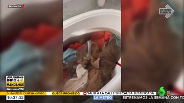 La 'estafa' de las lavadoras: una enfermera muestra la cantidad de suciedad que queda en las toallas recién lavadas