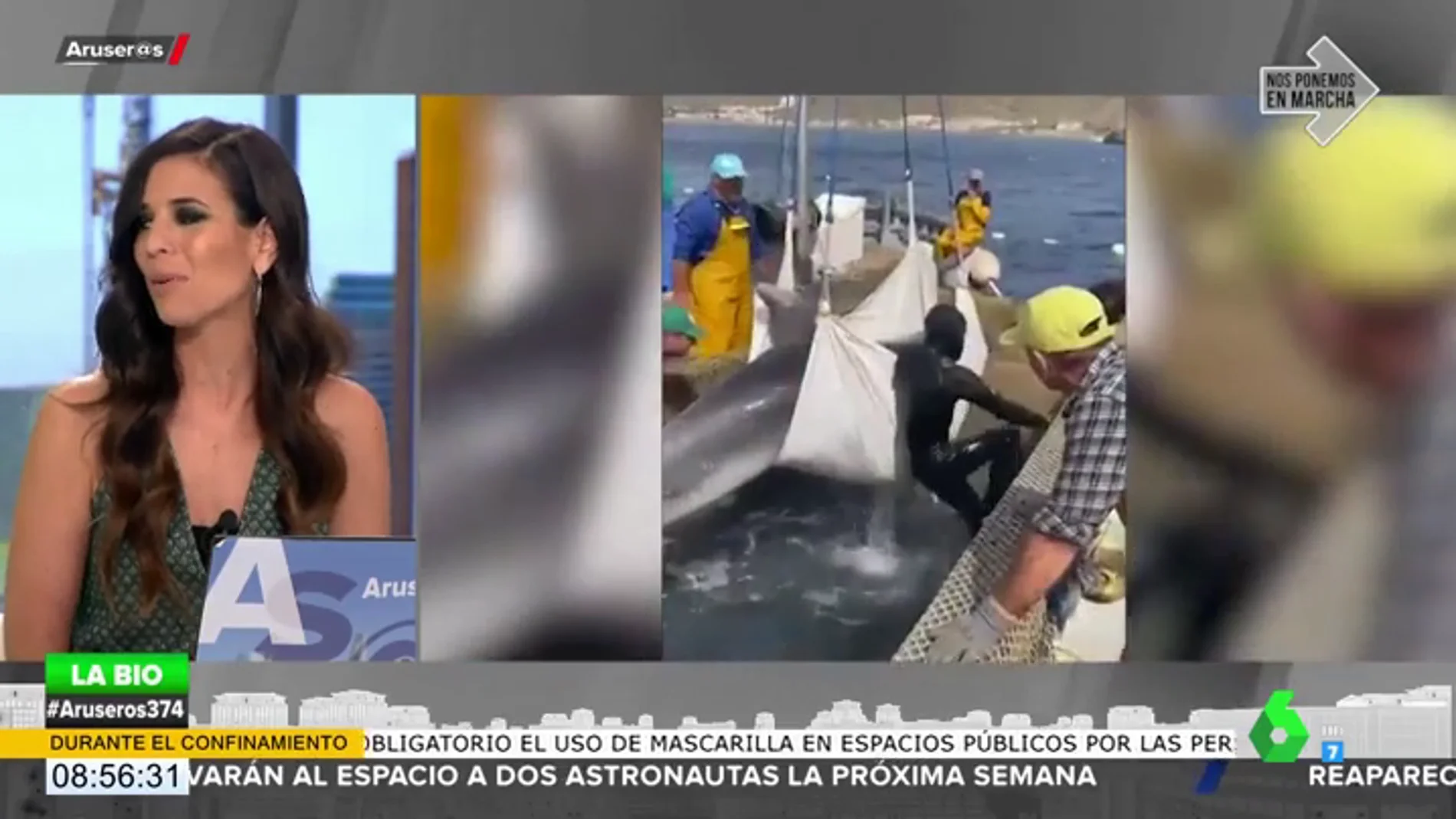 Unos pescadores rescatan a un delfín de 200 kilos atrapado en una almadraba en Murcia