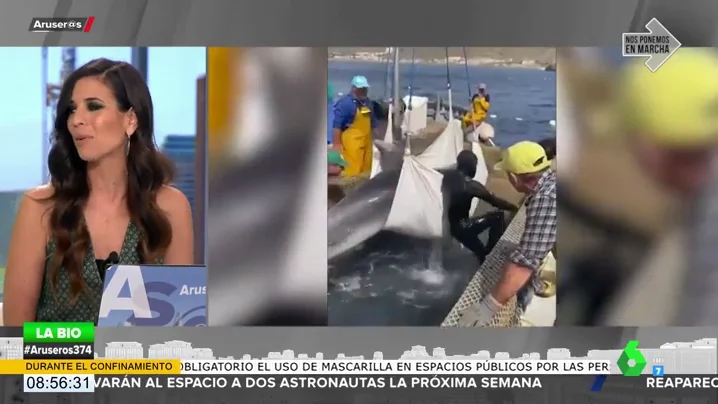 Unos pescadores rescatan a un delfín de 200 kilos atrapado en una almadraba en Murcia