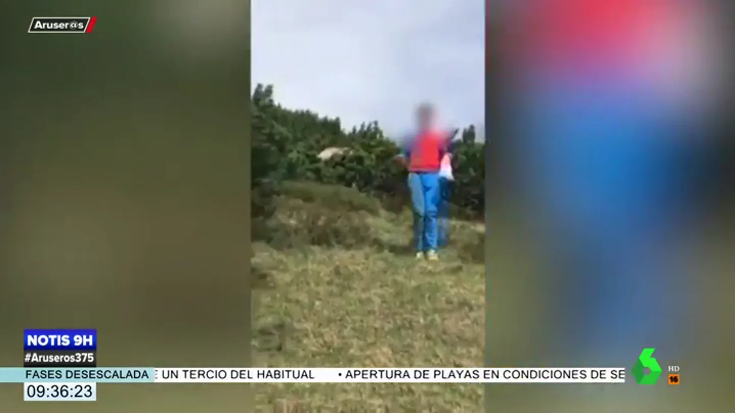 oso oso