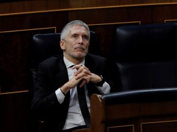 El ministro del interior, Fernando Grande Marlaska, durante la sesión de control al Ejecutivo El ministro del interior, Fernando Grande Marlaska, durante la sesión de control al Ejecutivo
