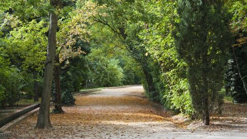 Aranjuez