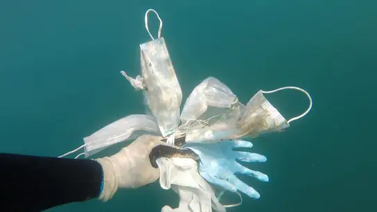 Guantes y mascarillas encontradas en el fondo del Mediterráneo. Guantes y mascarillas encontradas en el fondo del Mediterráneo.
