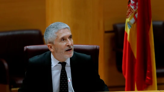 Fernando Grande-Marlaska, en el Senado Fernando Grande-Marlaska, en el Senado