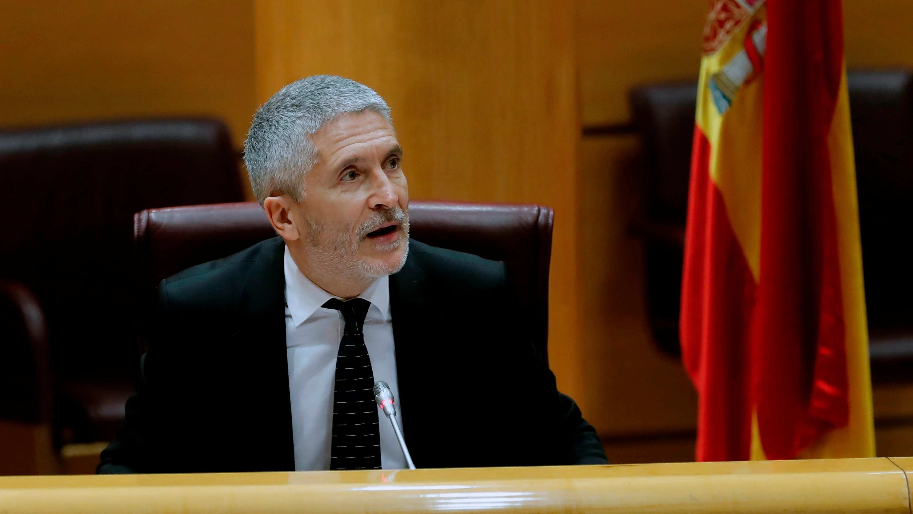 Fernando Grande-Marlaska, en el Senado