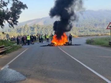 Trabajadores de Alcoa queman barricadas en el acceso a la fábrica en protesta por el despido colectivo Trabajadores de Alcoa queman barricadas en el acceso a la fábrica en protesta por el despido colectivo