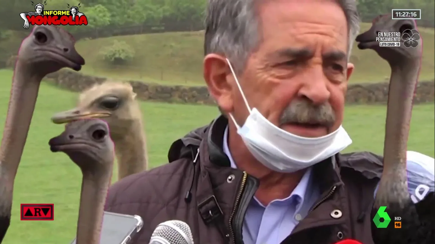 Cuando los avestruces invadieron una rueda de prensa de Revilla Cuando los avestruces invadieron una rueda de prensa de Revilla