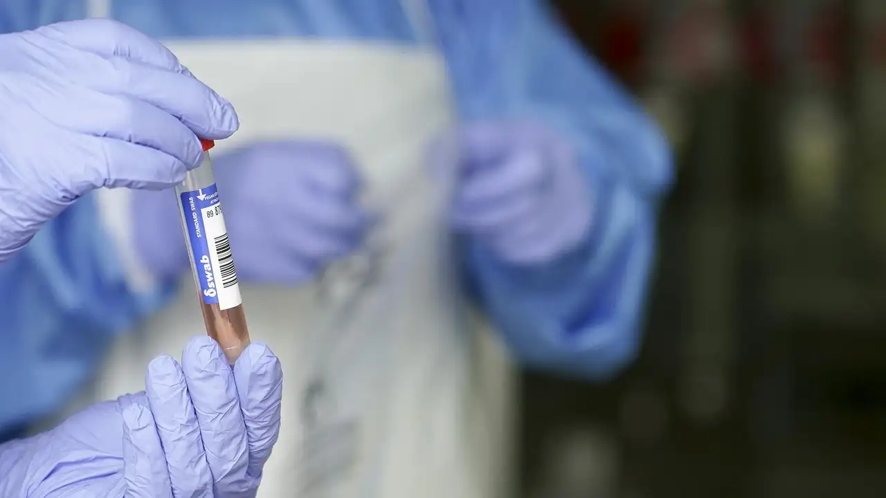 China detecta coronavirus en gambas congeladas procedentes de Ecuador - La  Opinión de Murcia