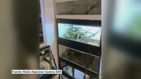 Vivienda del joven que ha muerto por la mordedura de una serpiente Vivienda del joven que ha muerto por la mordedura