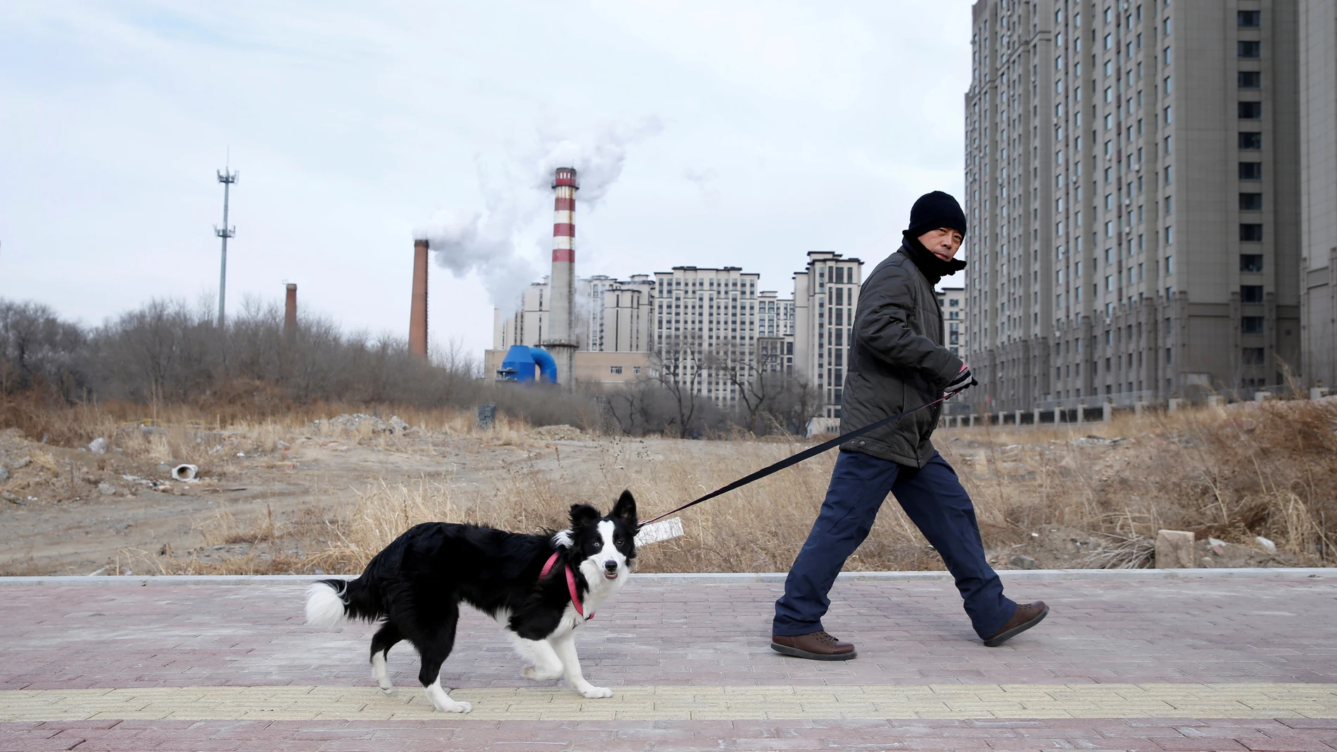 Un hombre pasea a su perro en Harbin (China)