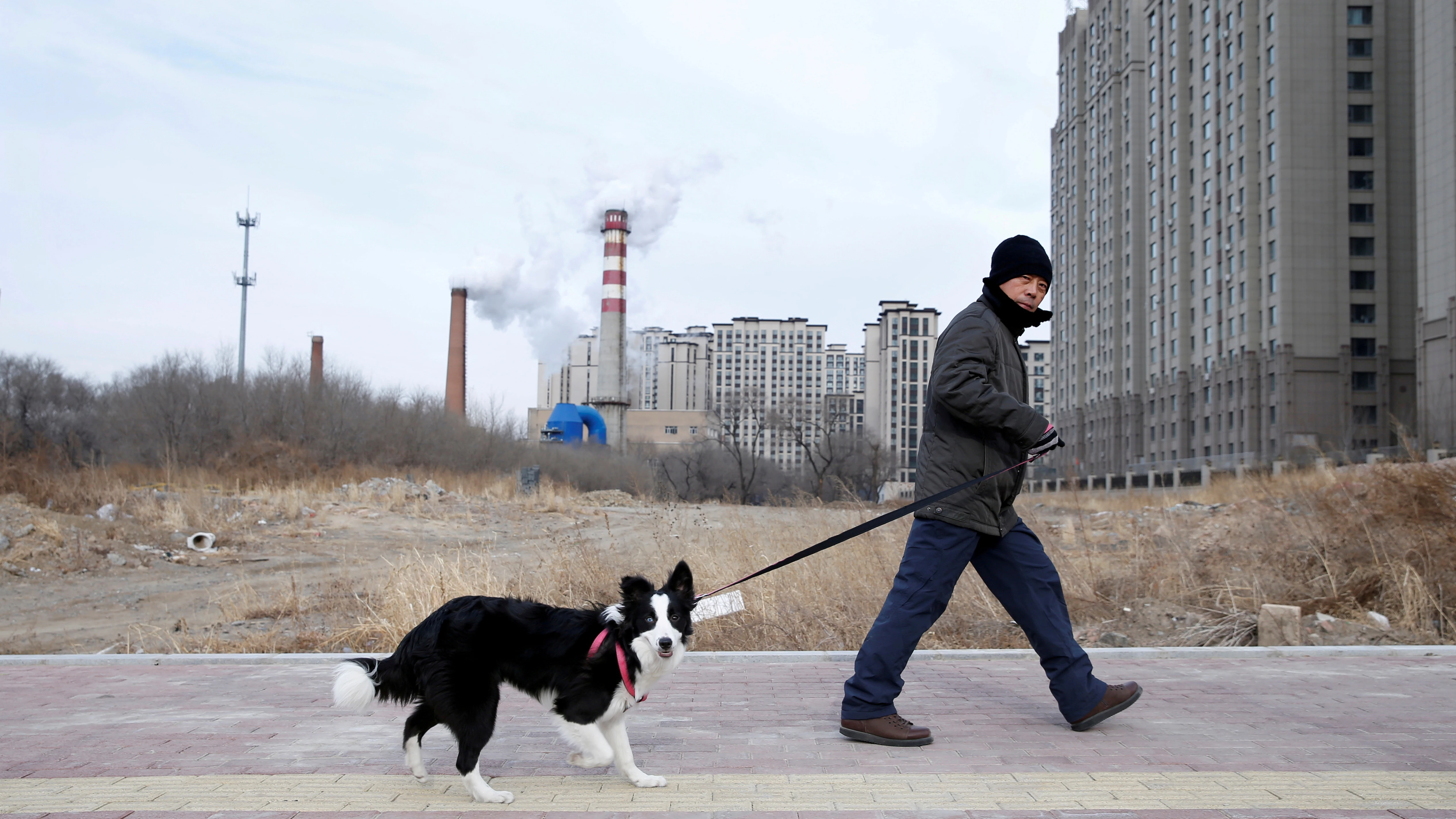 Un hombre pasea a su perro en Harbin (China)