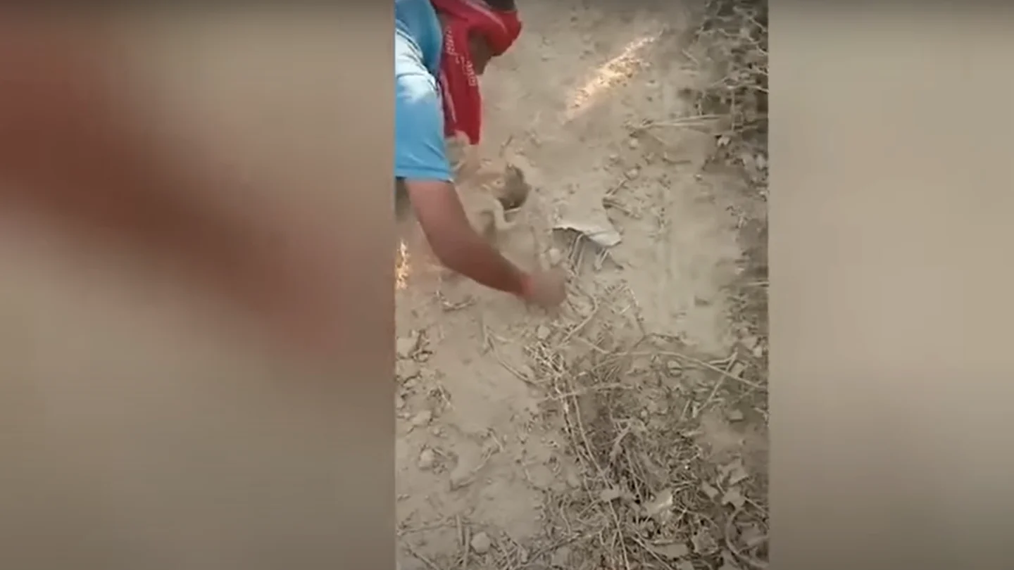 Rescatan a un bebé enterrado vivo en la India Rescatan a un bebé enterrado vivo en la India