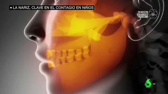 Un estudio halla la razón fisiológica por la que los niños son menos susceptibles al coronavirus Un estudio halla la razón fisiológica por la que los niños son menos susceptibles al coronavirus