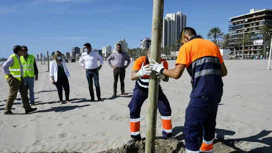 Instalación de señalización para mantener la distancia de seguridad en la playa de Alicante Instalación de señalización para mantener la distancia de seguridad en la playa de Alicante