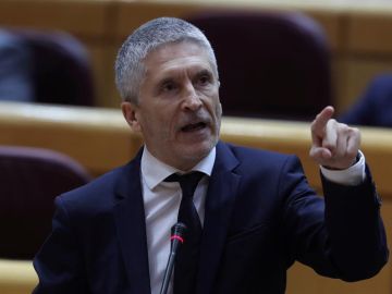 El ministro del Interior, Fernando Grande-Marlaska, durante la sesión del control al Gobierno El ministro del Interior, Fernando Grande-Marlaska, durante la sesión del control al Gobierno