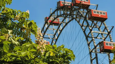 Noria del Prater Noria del Prater