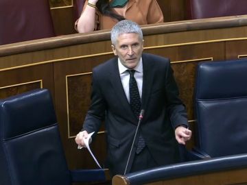 Marlaska responde a la oposición en el Congreso: "No voy a dimitir porque no he hecho nada ilegal" Marlaska responde a la oposición en el Congreso: "No voy a dimitir porque no he hecho nada ilegal"