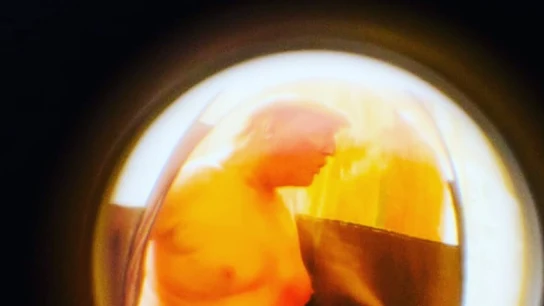 Una de las imágenes que ha generado la polémica Una de las imágenes que ha generado la polémica