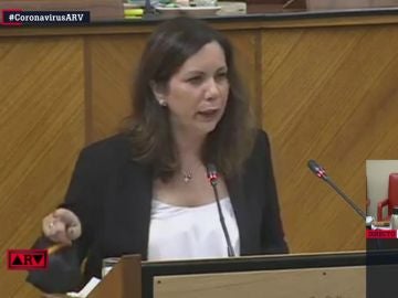 Ángela Mulas, diputada de Vox en el Parlamento de Andalucía Ángela Mulas, diputada de Vox en el Parlamento de Andalucía