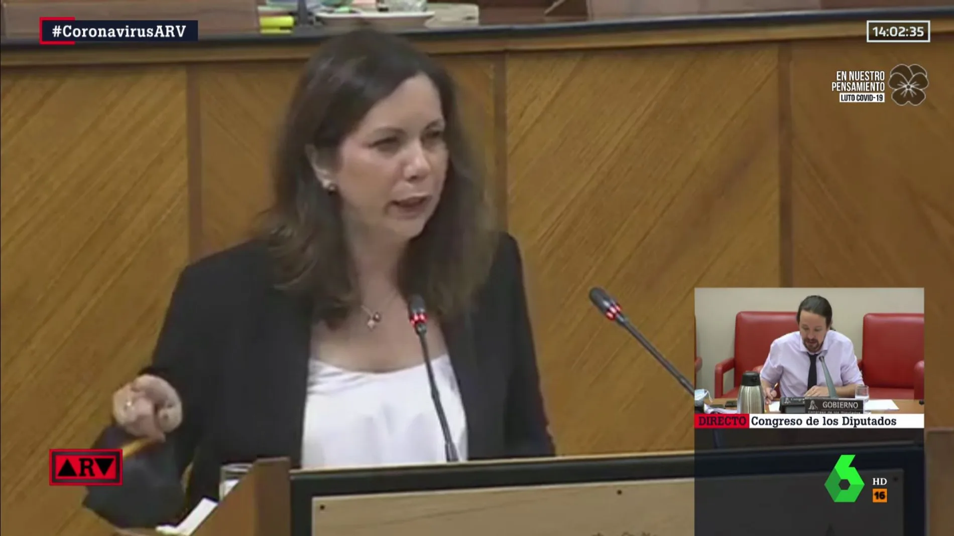 Ángela Mulas, diputada de Vox en el Parlamento de Andalucía