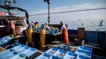 Los pescadores separan y guardan todos los residuos que encuentran en las redes para tirarlos an contenedor al llegar a puerto