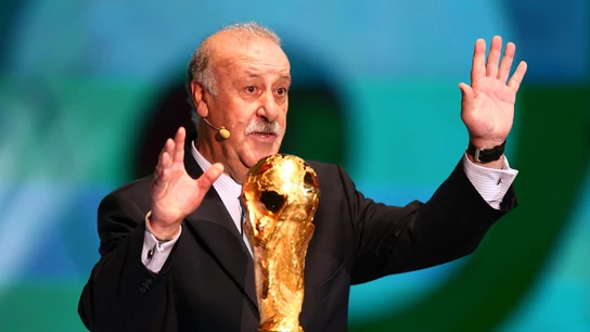 Vicente del Bosque Vicente del Bosque