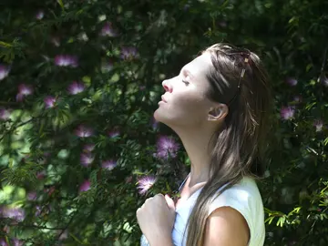 El ritmo de la respiración influye en nuestro cerebro El ritmo de la respiración influye en nuestro cerebro