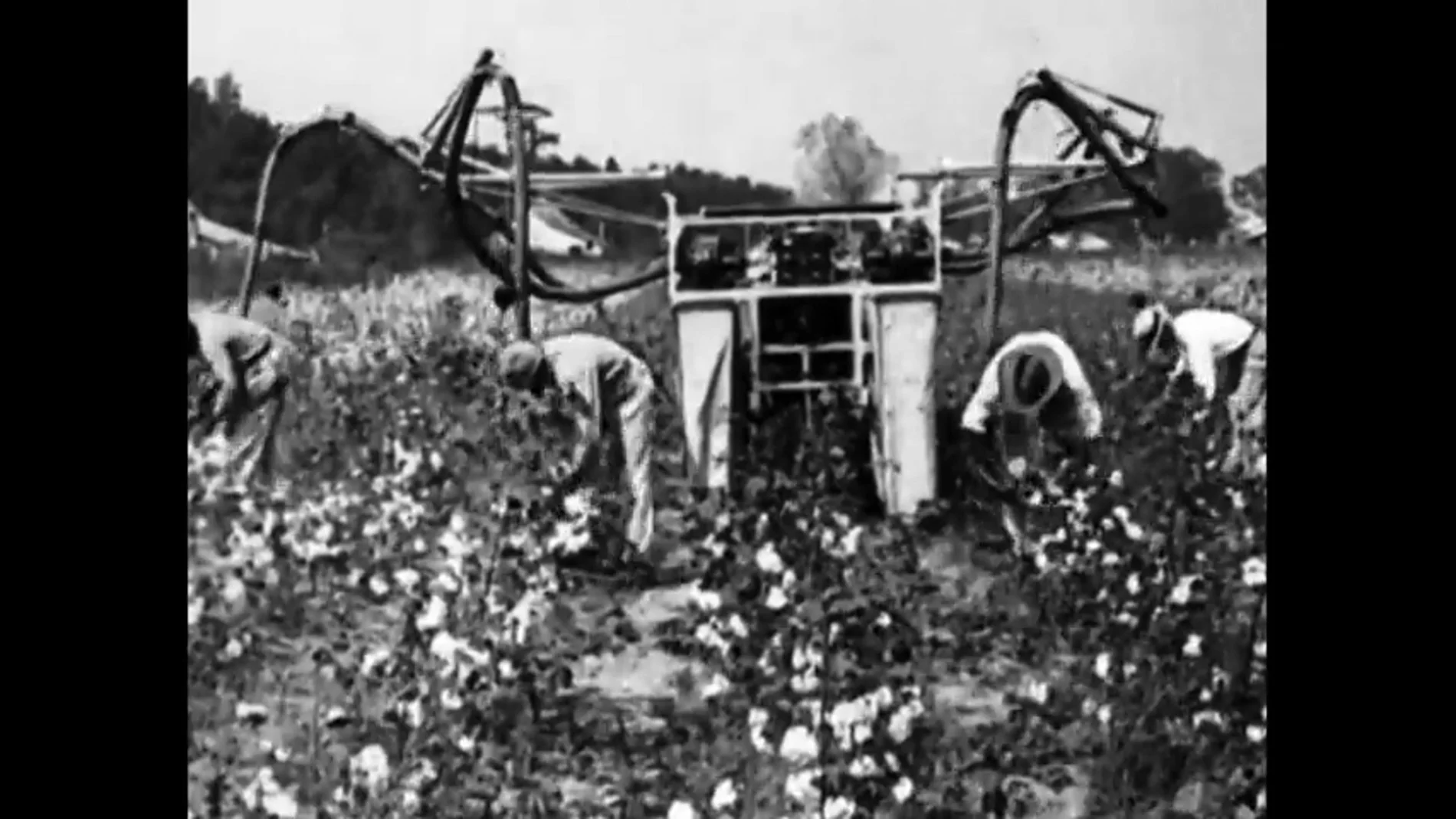 El racismo en Estados Unidos a través de la historia: de los esclavos del algodón a los ataques del Ku Klux Klan