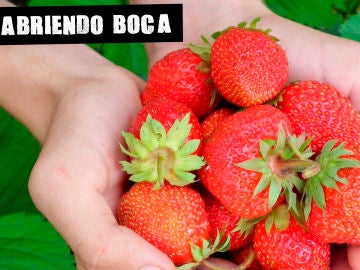 Imagen de archivo de fresas Imagen de archivo de fresas