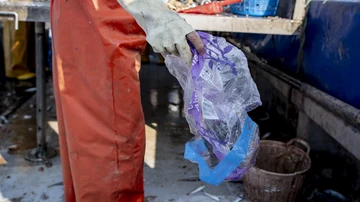 Uno de los pescadores echa a un cubo un embalaje plástico de papel higiénico